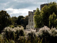 Keats Walk-0009