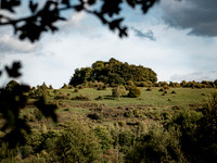 Keats Walk-0011