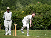 Arbour XI Winchester Cricket Club