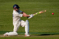 Arbour XI Winchester Cricket Club