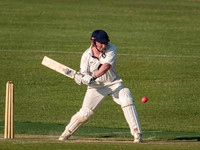 Arbour XI Winchester Cricket Club