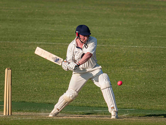 Arbour XI Winchester Cricket Club