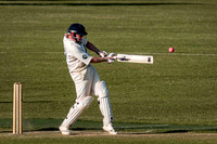 Arbour XI Winchester Cricket Club