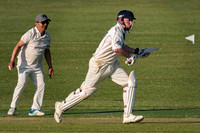 Arbour XI Winchester Cricket Club