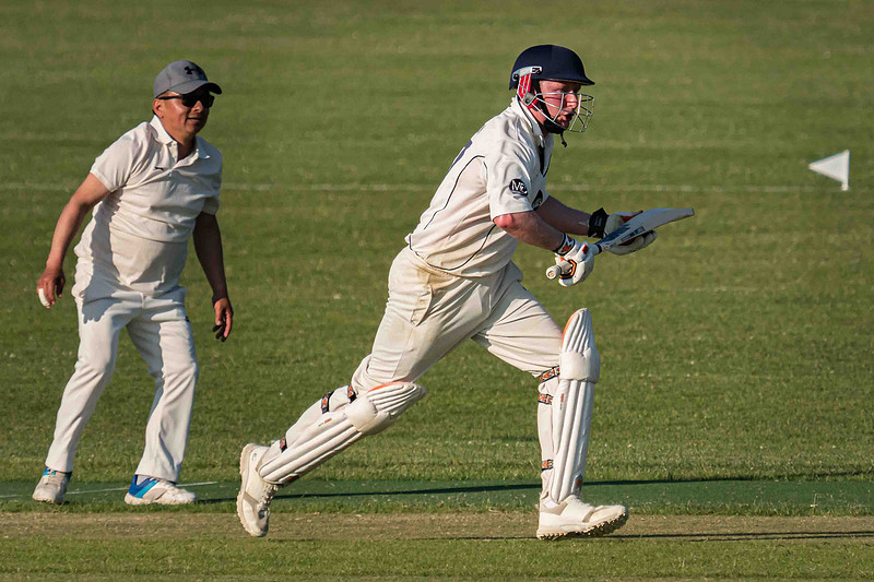 Arbour XI Winchester Cricket Club