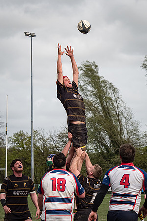 Winchester Rugby Football Club
