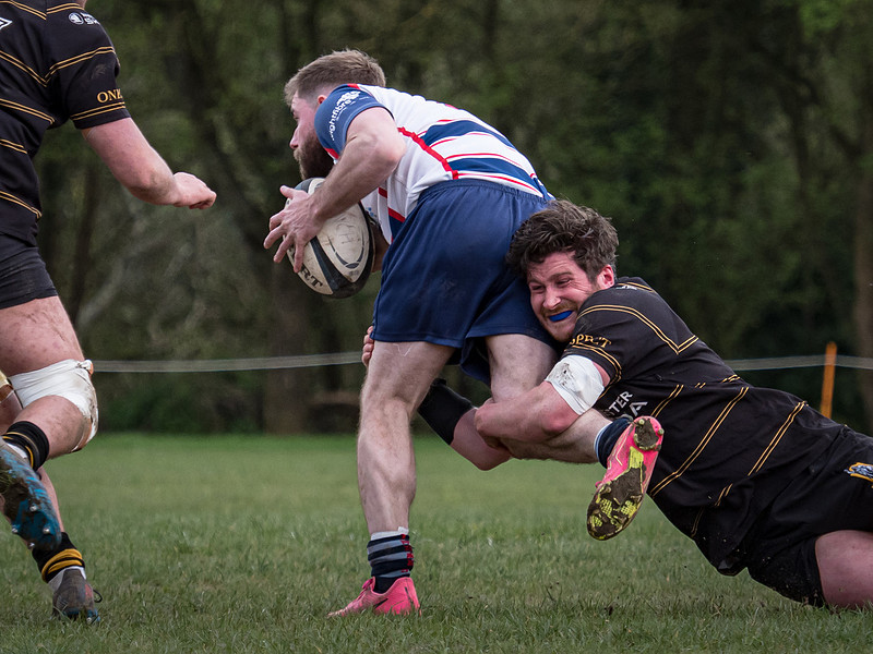 Winchester Rugby Football Club