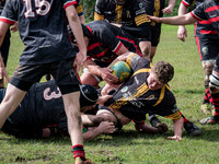 Winchester Rugby Football Club