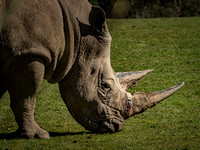 Frame the Moment | Photo by Gary Baxter | Wildlife Portfolio