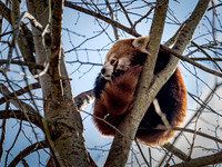 Frame the Moment | Photo by Gary Baxter | Wildlife Portfolio