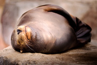 Frame the Moment | Photo by Gary Baxter | Wildlife Portfolio