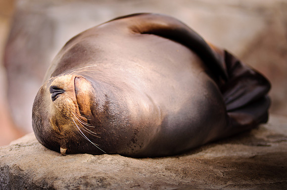 Frame the Moment | Photo by Gary Baxter | Wildlife Portfolio