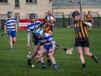 Irish Hurling