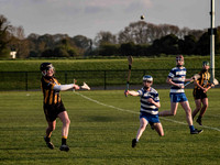 Irish Hurling