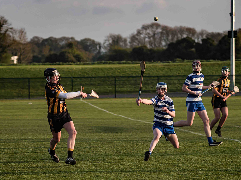 Irish Hurling