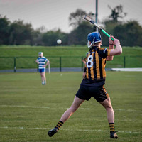 Irish Hurling