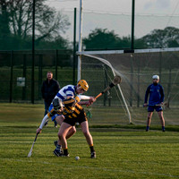 Irish Hurling