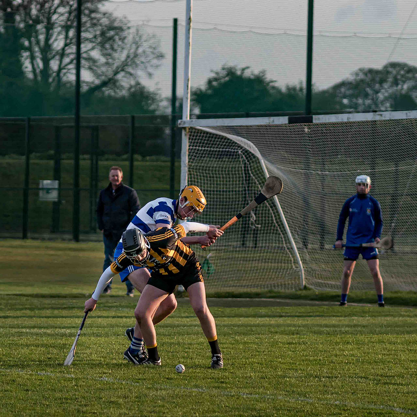 Irish Hurling