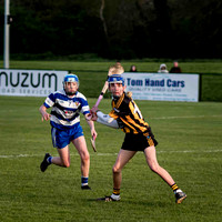 Irish Hurling