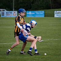 Irish Hurling