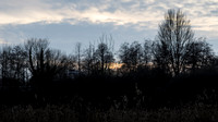 IMG_0265