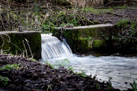 IMG_0254