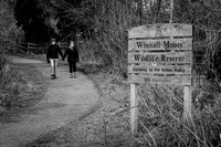 2026-02-18 Winnall Moors