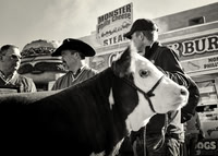 Frame the Moment | Photo by Gary Baxter | Travel Portfolio