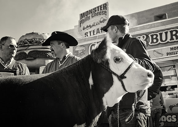 Frame the Moment | Photo by Gary Baxter | Travel Portfolio