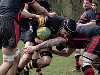 Frame the Moment | Photo by Gary Baxter | Sports Portfolio | Rugby