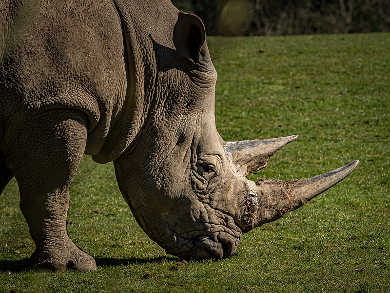 March 2025 Marwell Zoo