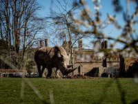 March 2025 Marwell Zoo