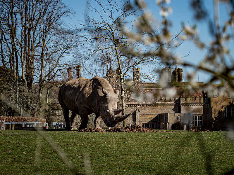 March 2025 Marwell Zoo
